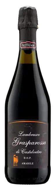 Bouteille de vin rouge pétillant, vin italien lambrusco